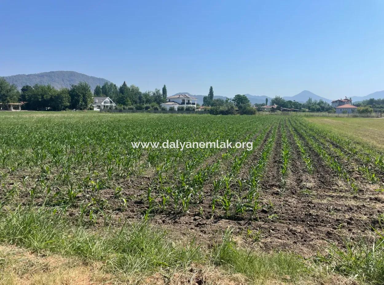 Okçular'da Köy Yerleşik Alanda 2715M2 Satılık Arsa