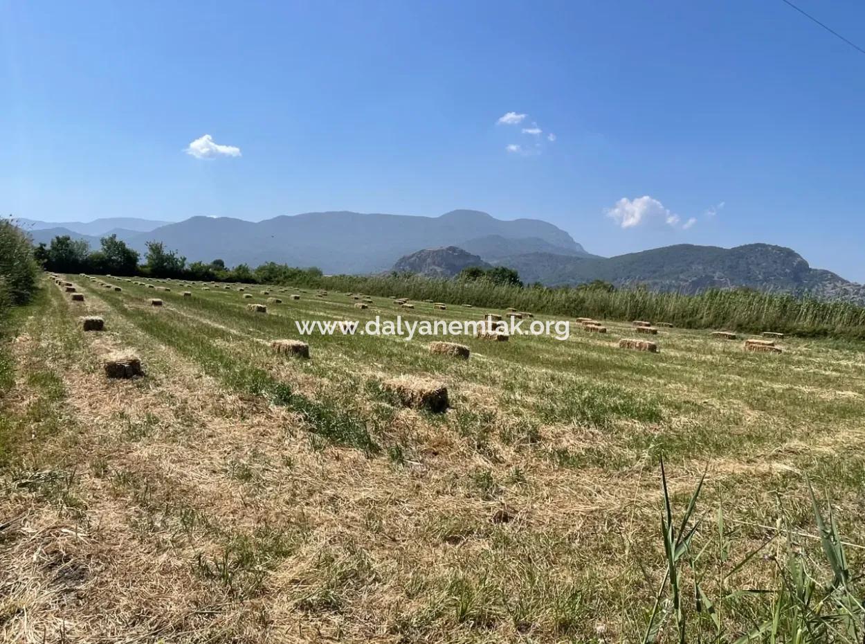 Dalyan'da İztuzu Yoluna Sıfır 6,500M2 Satılık Tarla