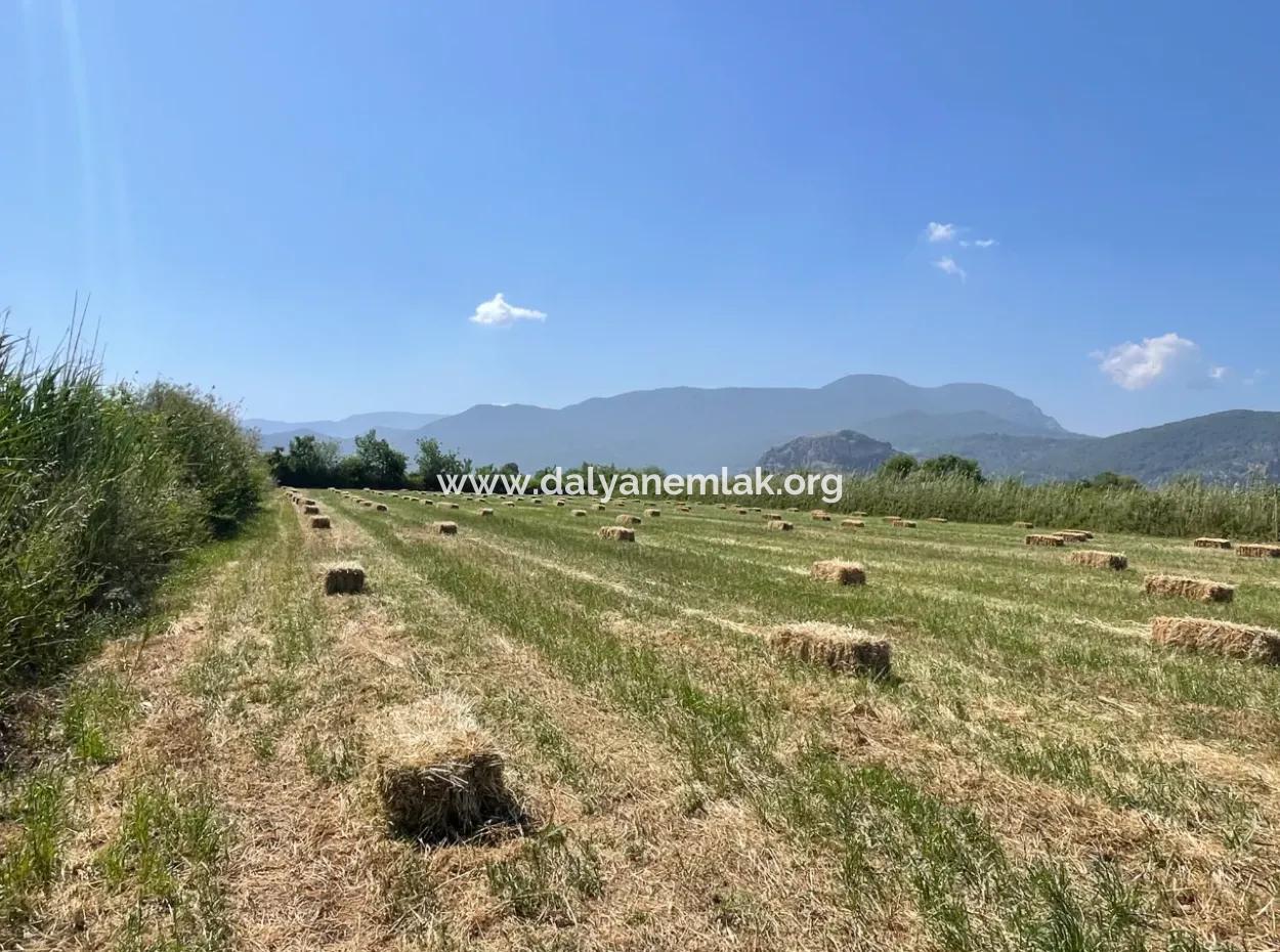 Dalyan'da İztuzu Yoluna Sıfır 6,500M2 Satılık Tarla