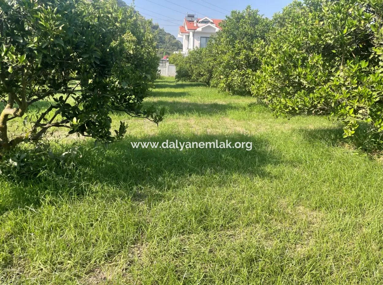 Dalyan Gülpınar'da 722M2 Satılık Arsa