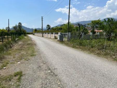 Dalyan Maraş Mevkiinden 5,100M2 %5 Konut İmarlı Satılık Arsa