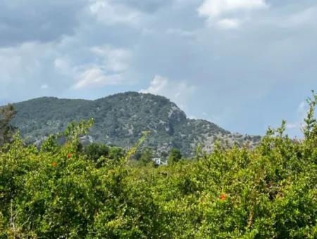 Dalyan Maraş Mevkiinden 5,100M2 %5 Konut İmarlı Satılık Arsa