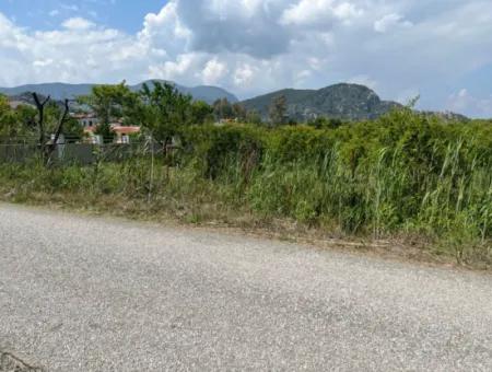 Dalyan Maraş Mevkiinden 5,100M2 %5 Konut İmarlı Satılık Arsa