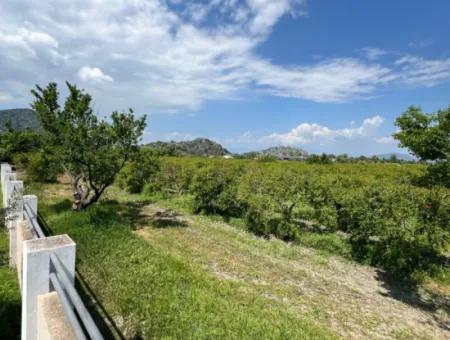 Dalyan Maraş Mevkiinden 5,100M2 %5 Konut İmarlı Satılık Arsa