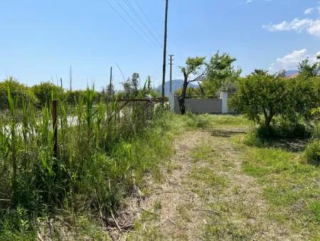 Dalyan Maraş Mevkiinden 5,100M2 %5 Konut İmarlı Satılık Arsa