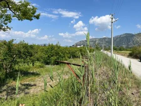 Dalyan Maraş Mevkiinden 5,100M2 %5 Konut İmarlı Satılık Arsa