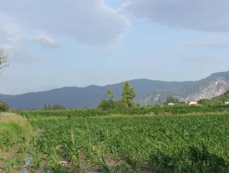 Dalyan Satılık Tarla Dalyan Merkeze Yakın 14,612M2 Satılık Tarla