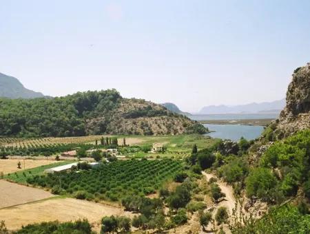 Gökbelde Satılık Arsa Dalyan İztuzu Yoluna Sıfır 7484M2 Göle Sıfır Satılık Arsa