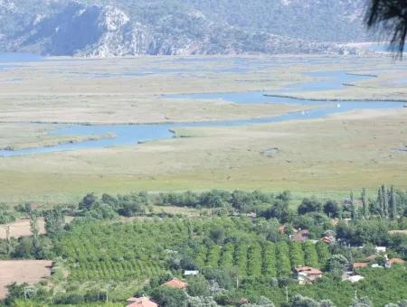 Çandır Satılık Arsa Deniz Manzaralı 6265 M2 Satılık Arsa