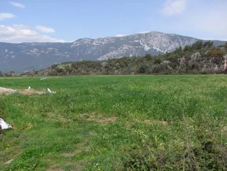 Akyaka Gökçede Satılık Arazi Denize Yakın Çiftlik İçin 21625M2 Satılık Tarla Yatırımlık Satılık Ars