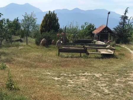 Seydikemer Korubükün Satılık 76000M2 Ciftlik Arazisi