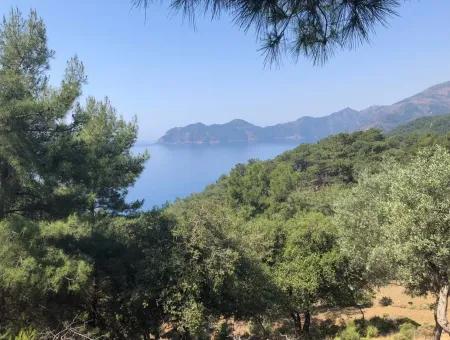 Çandır'da Deniz Manzaralı 7034M2 Satılık Tarla