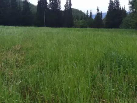 Çamlida  Satılık Arsa 11516M2 Satlık Bahçe