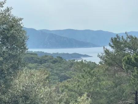 Ekincikde Deniz Manzaralı Zeytin Evi Satılıktır