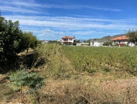 Okçular'da 506+504M2 Yan Yana 1010M2 Satılık Arsa