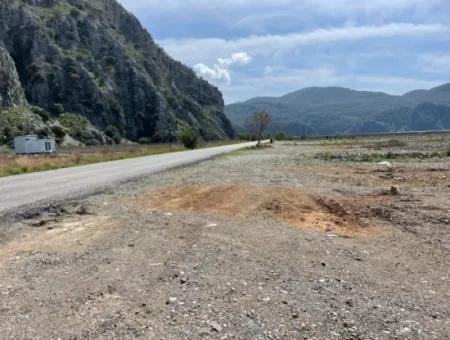 Dalyan İztuzu Plaj Yoluna Sıfır 19,600M2 Satılık Tarla Arazi