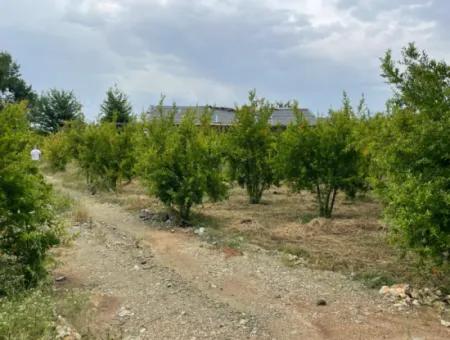 Dalyan''da Merkeze Yakın 2,528M2 Satılık Tarla