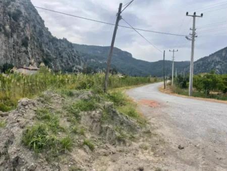 Dalyan'da 6500M2 Satılık Tarla