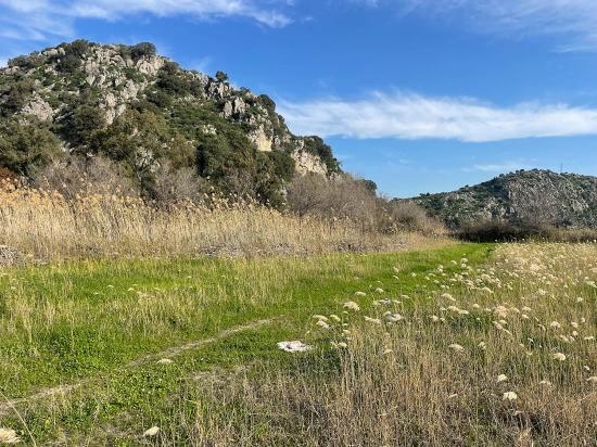 Dalyan'da 6800 M2 %5 Konut İmarlı Satılık Arsa
